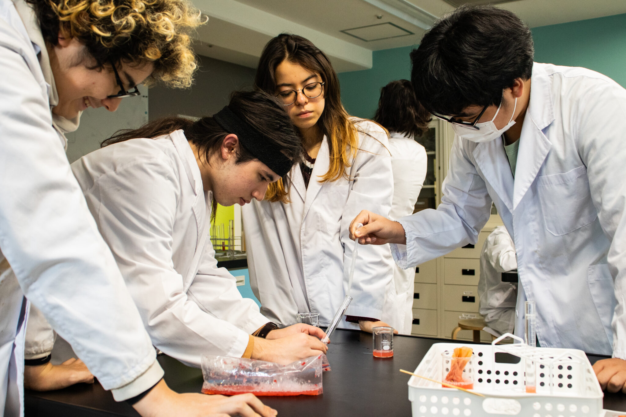 MYP students conducting a science experiment